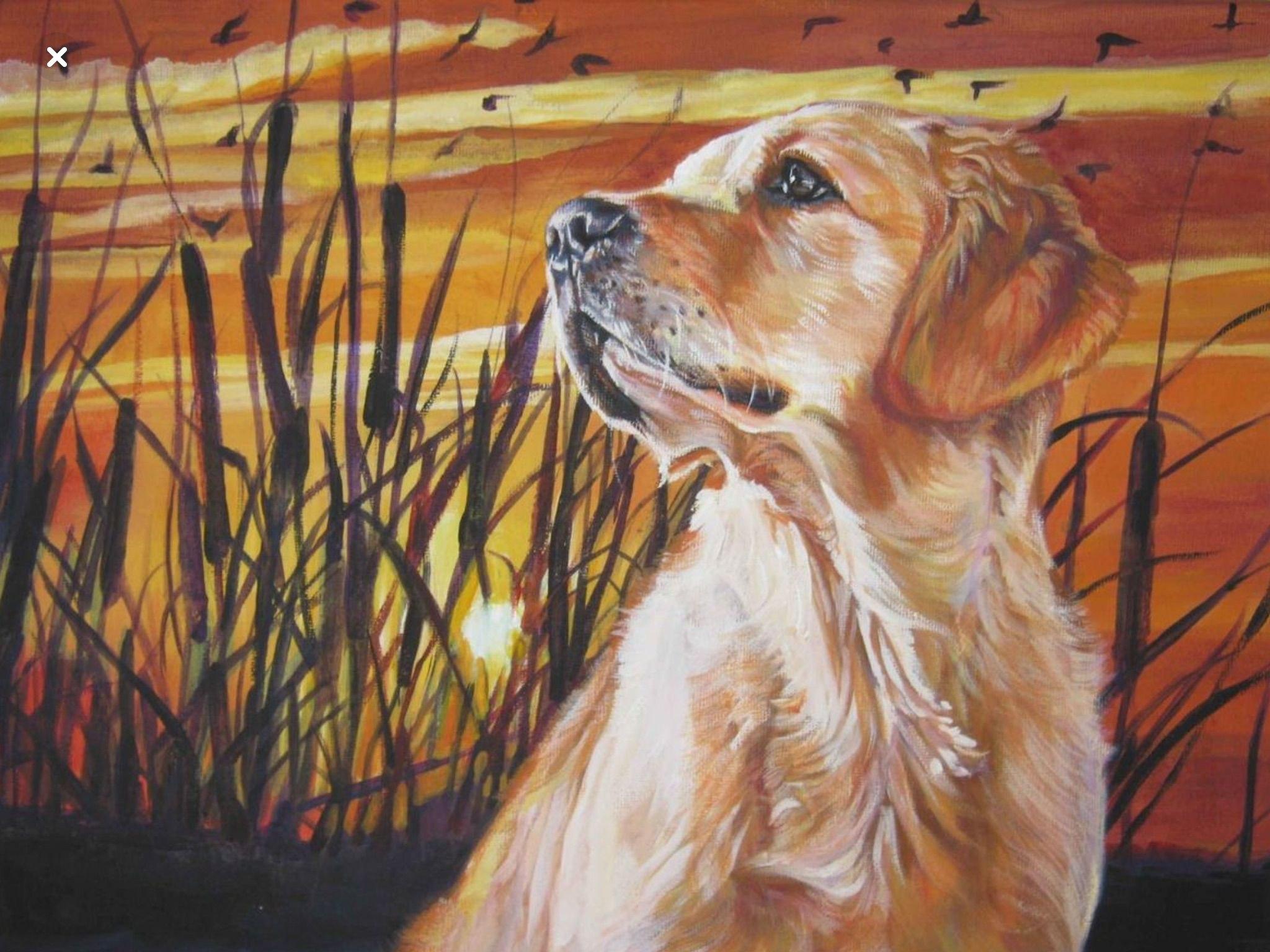 Pet Portrait – A Unique Gift for Animal Lovers