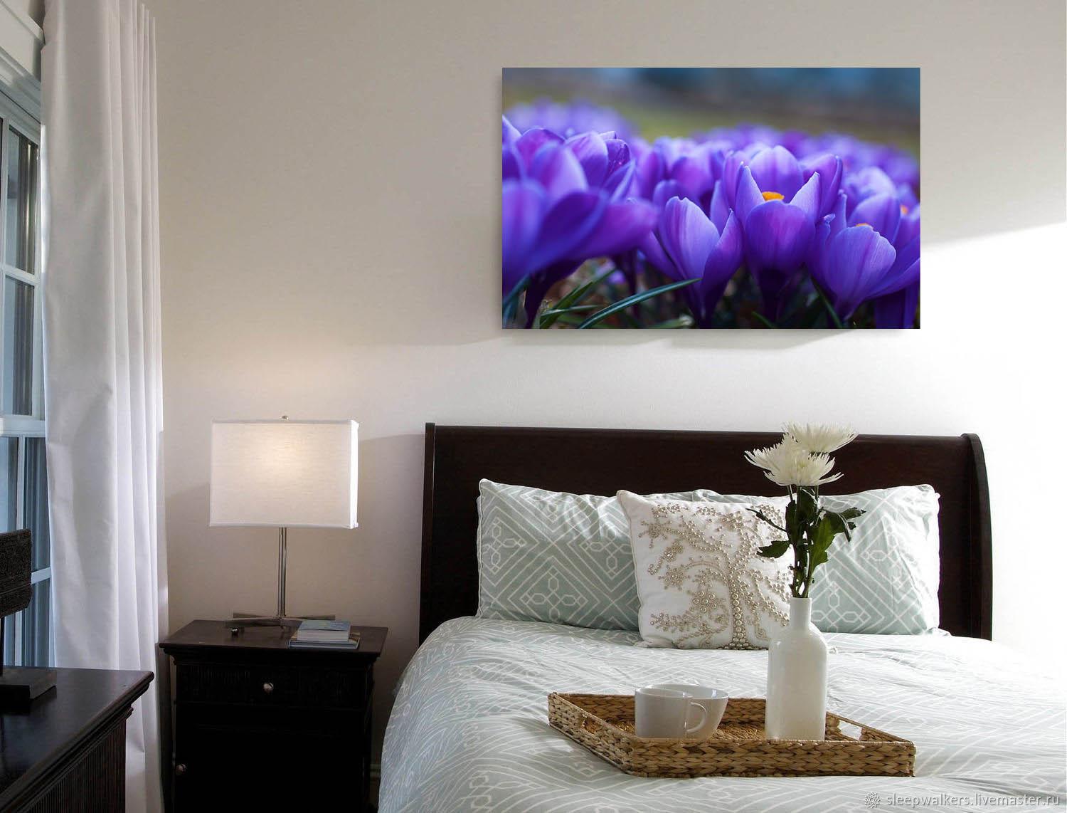 Fotobild - lila Blumen