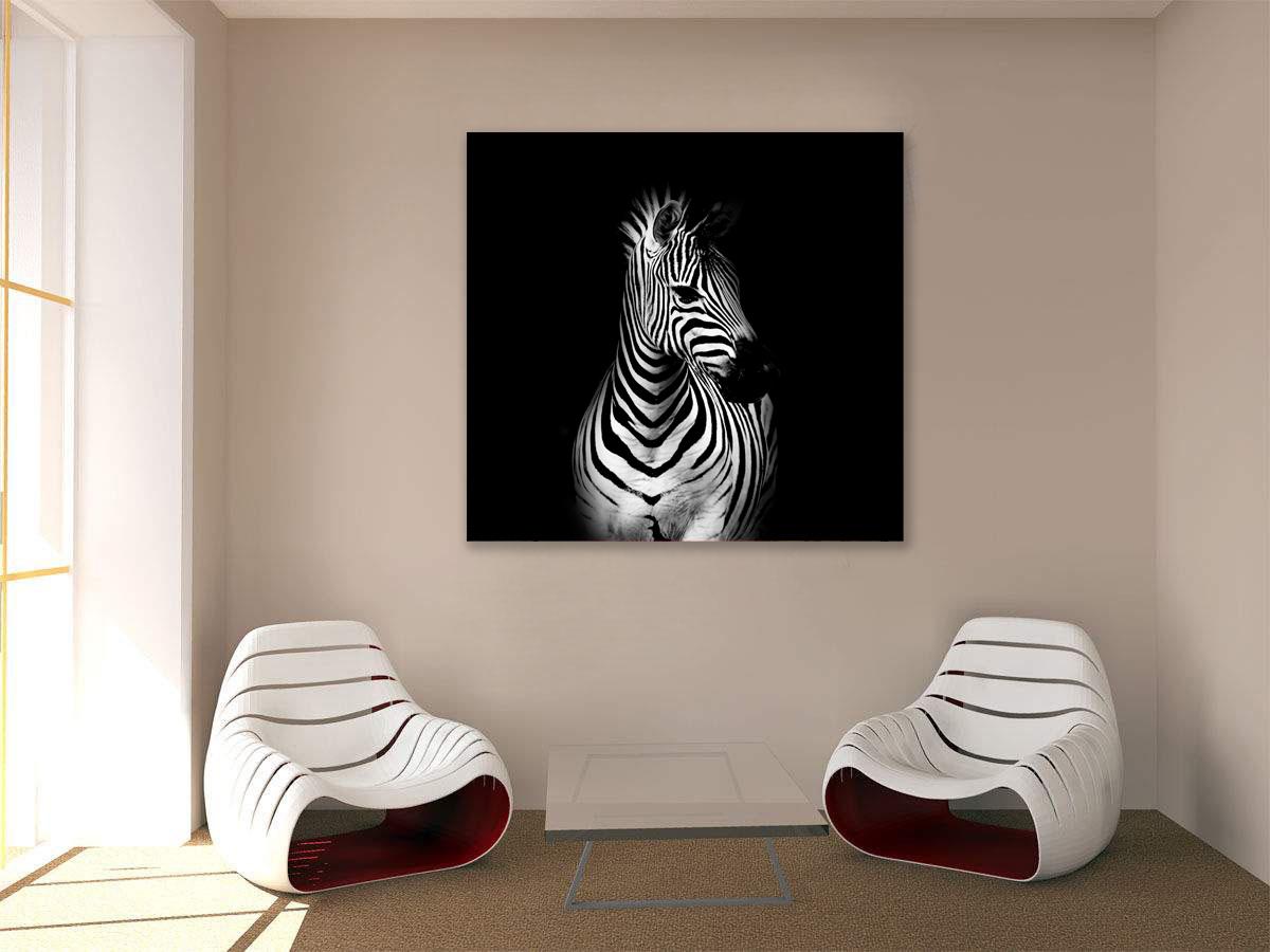 Foto ƒe nɔnɔmetata - zebra le megbe yibɔ