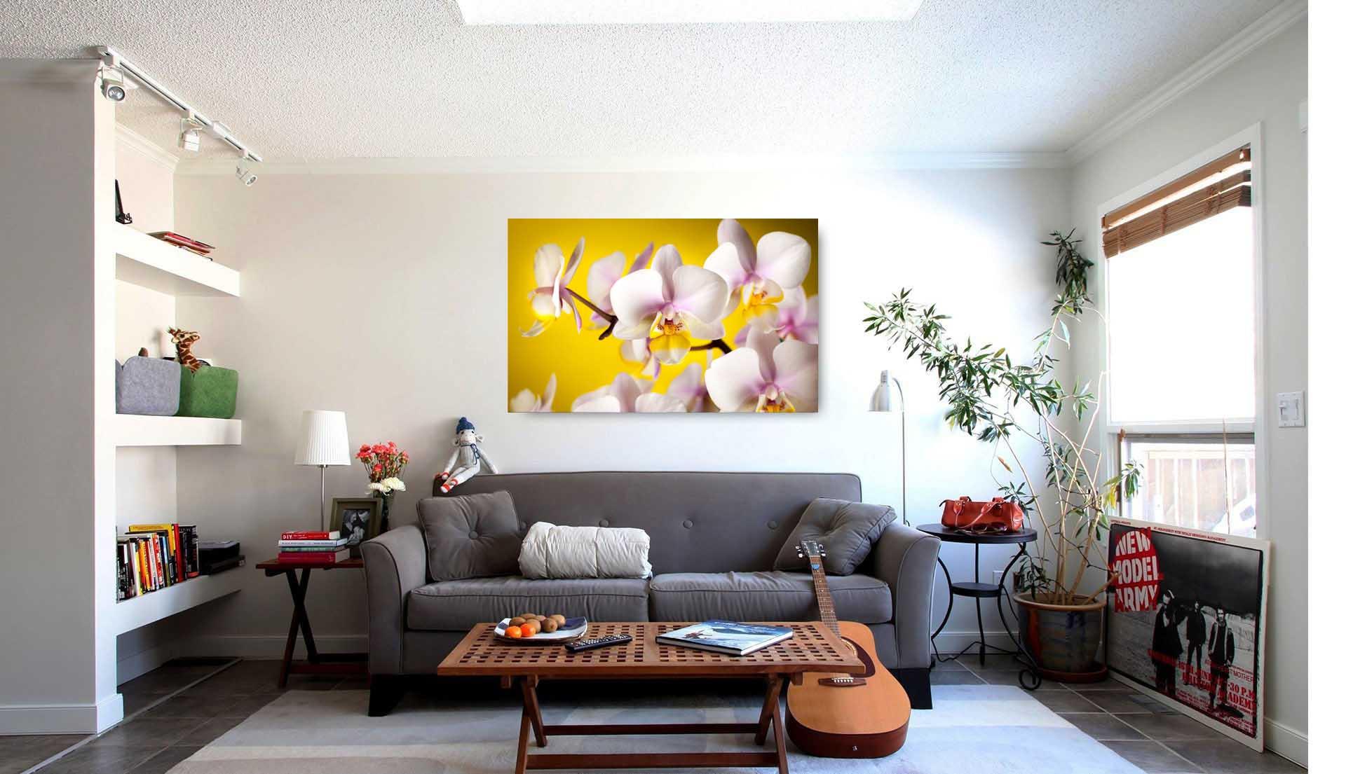 Photo picture - beautiful flowers on a yellow background