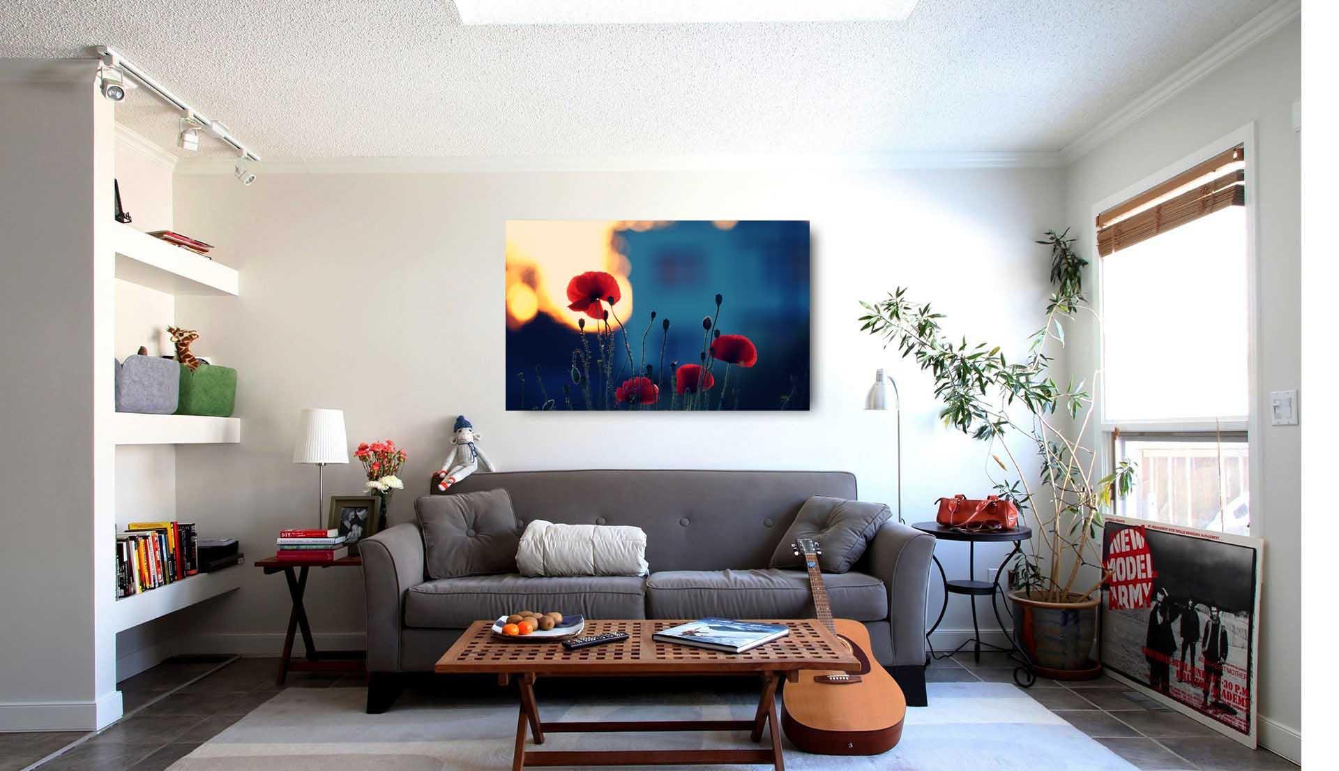 Fotobild - rote Mohnblumen