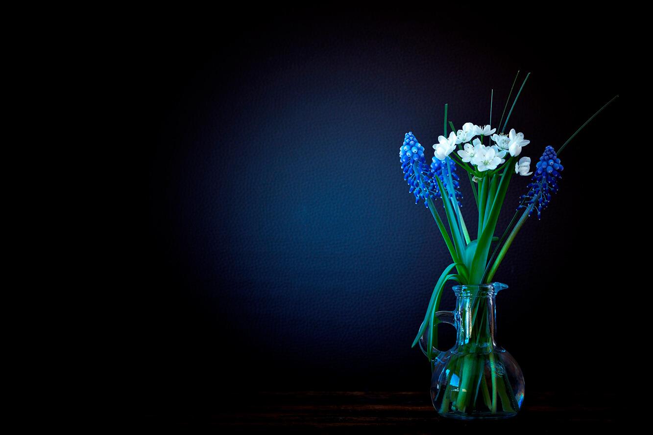 Muscari ƒe seƒoƒotsihe