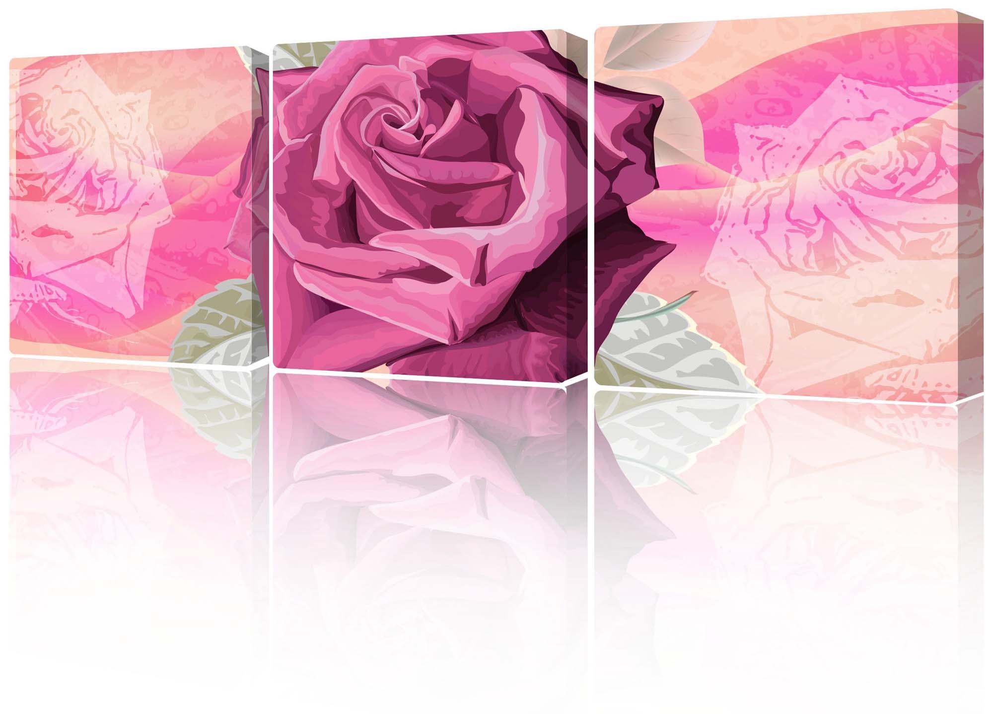 Modulares Bild - schöne blühende Rose