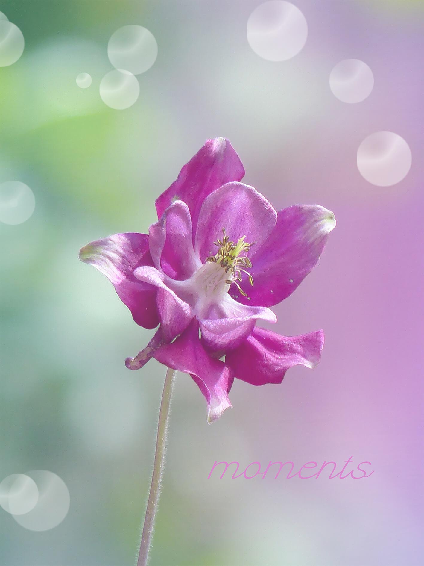 Momente