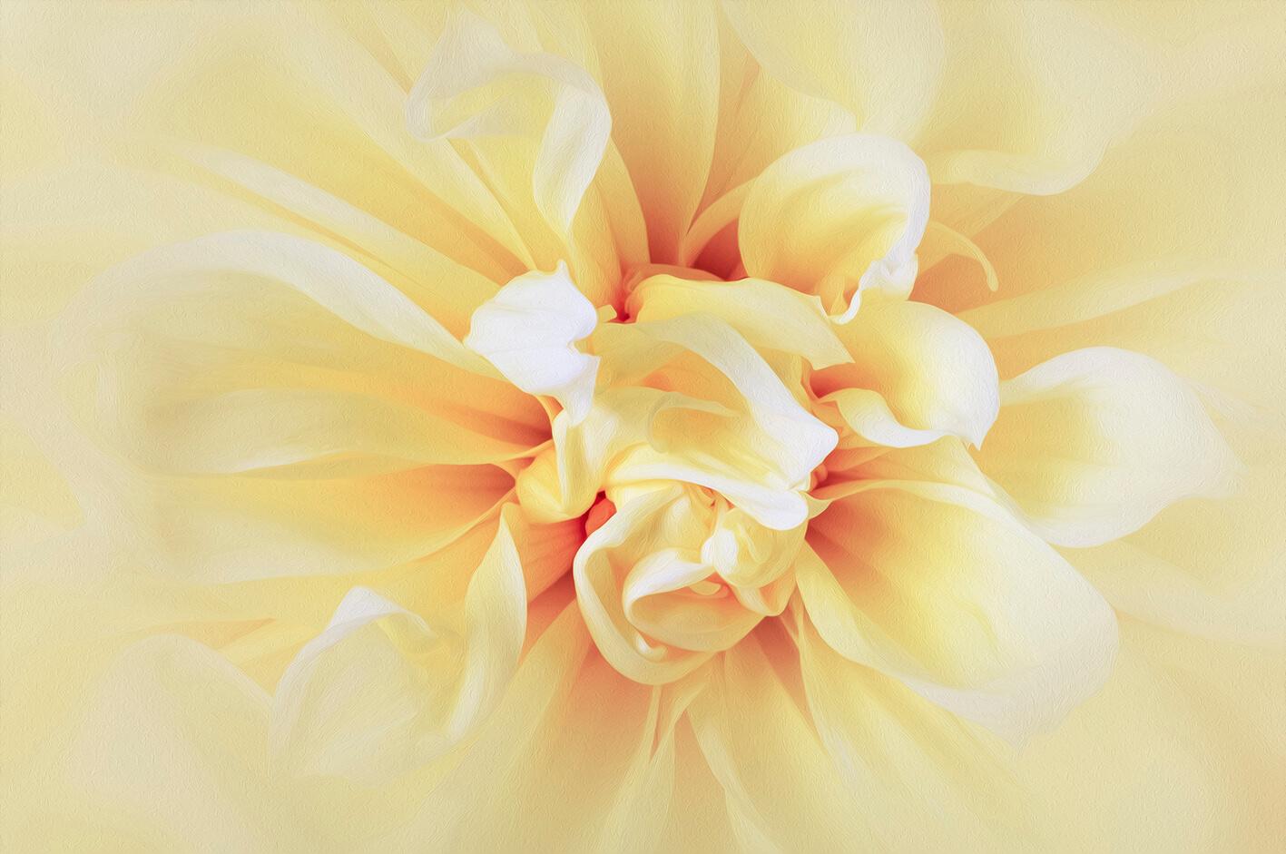 Blumen Makrofotografie