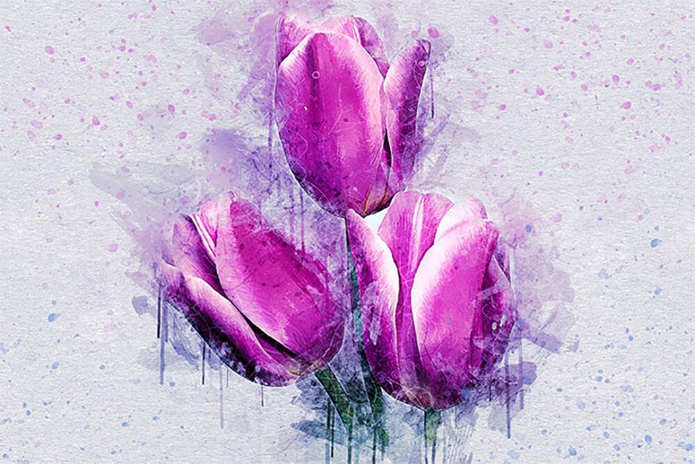 Aquarell Tulpen