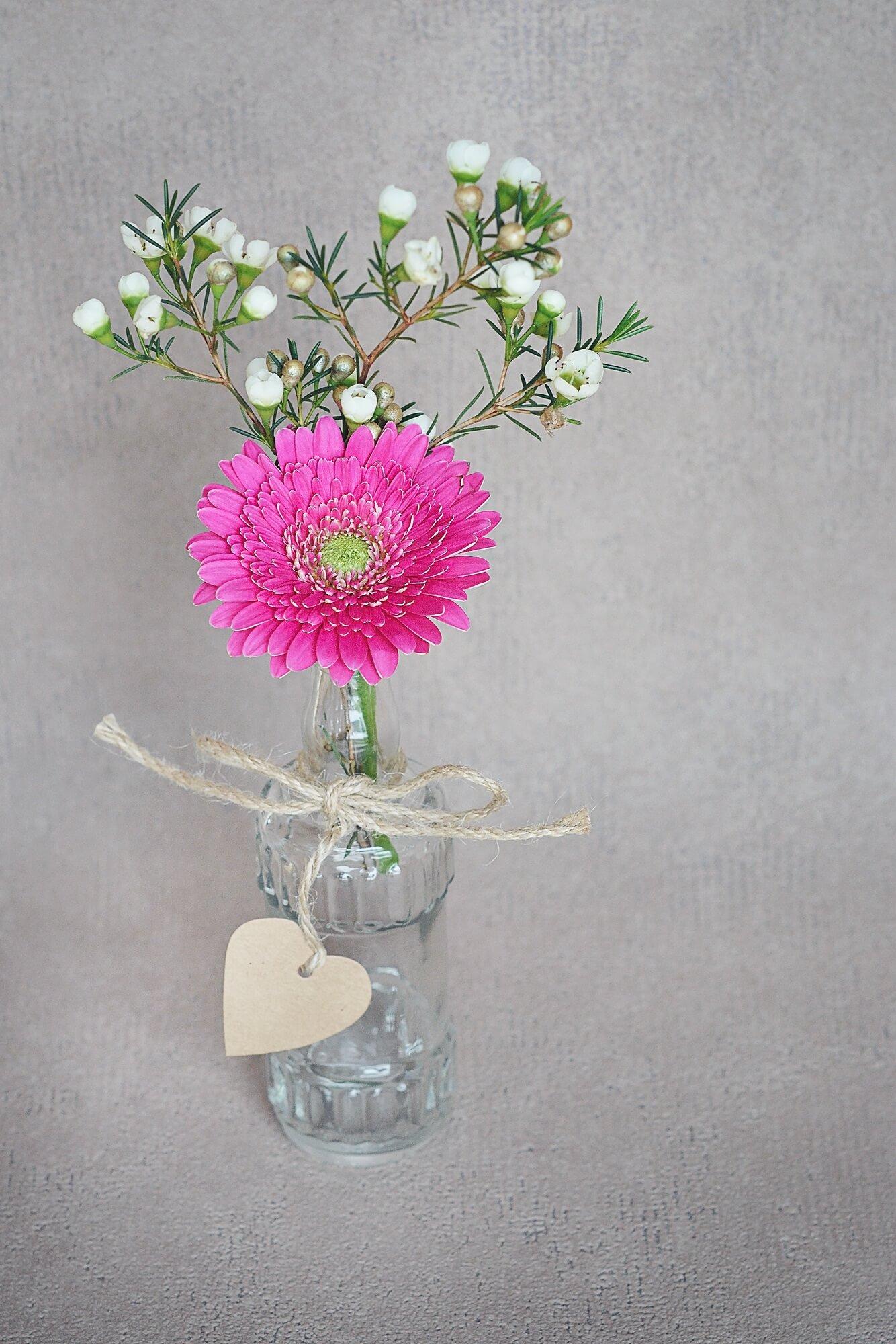Gerbera in einer Vase