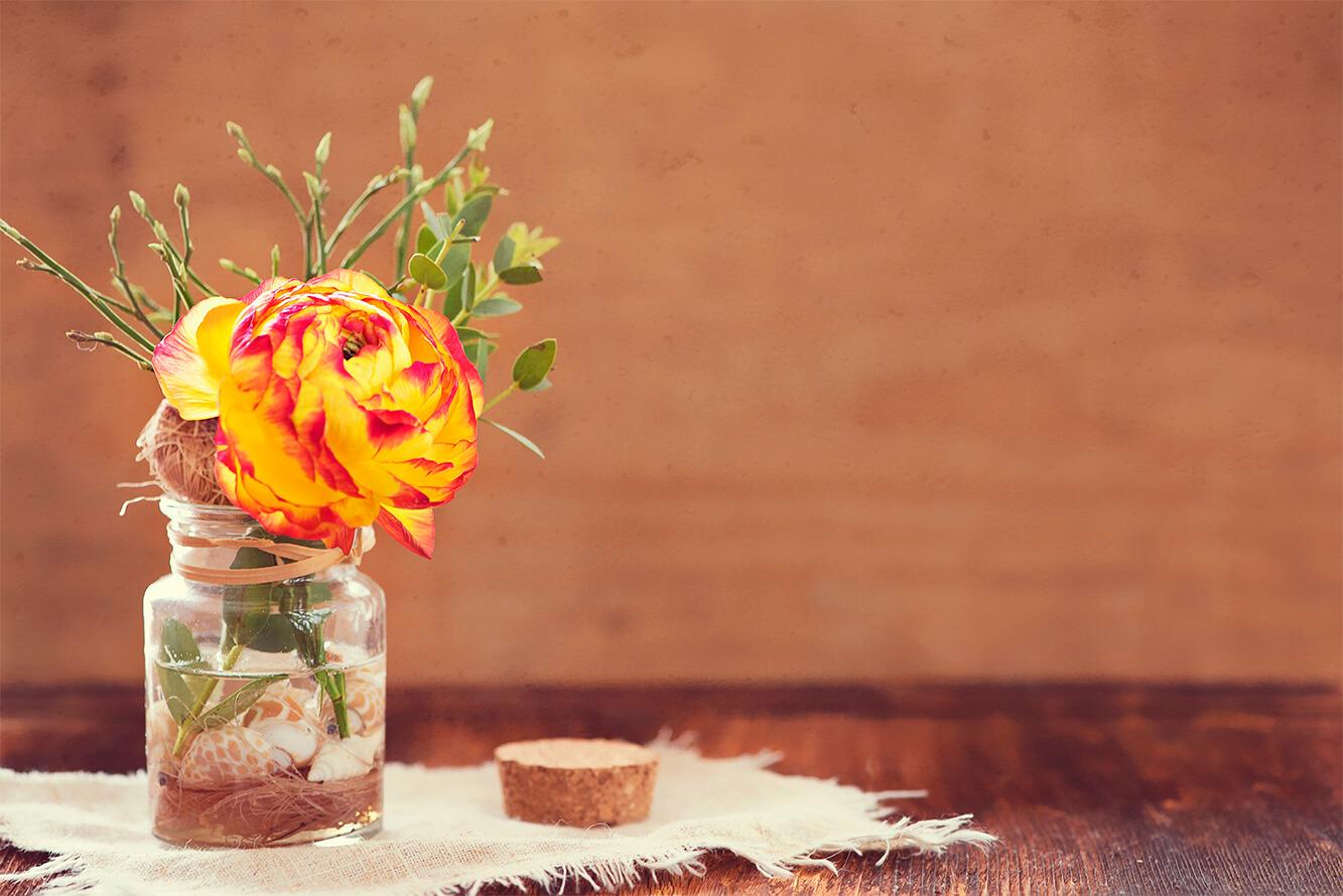 Stillleben mit gelb-roter Rose