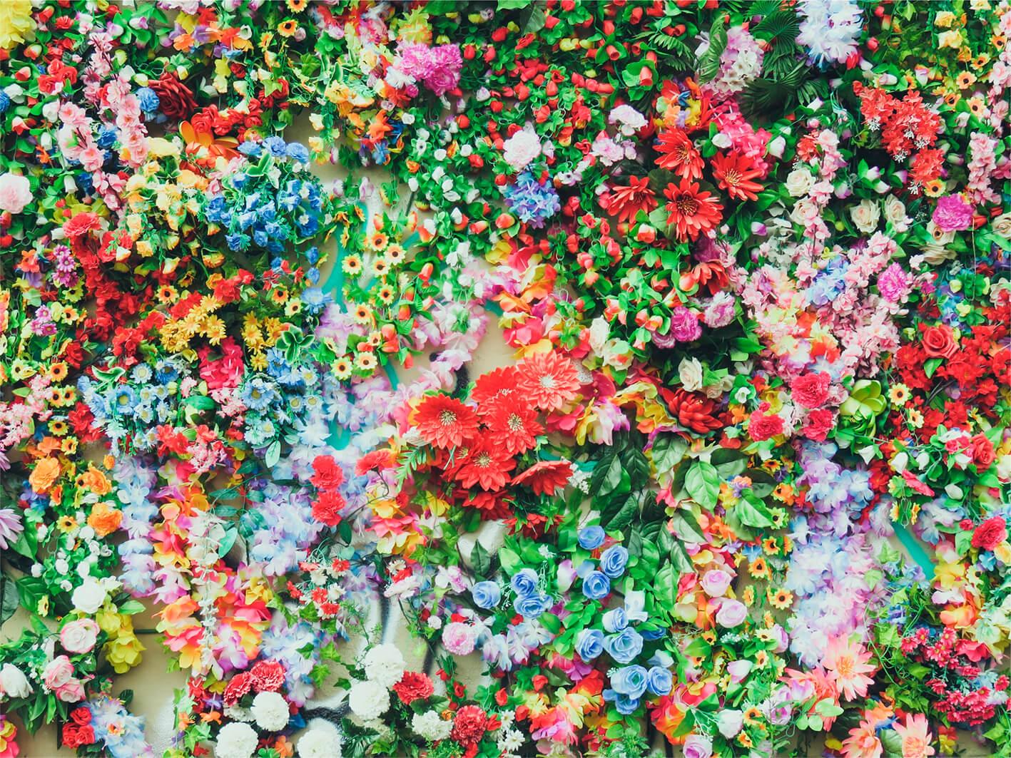 Blumenwiese