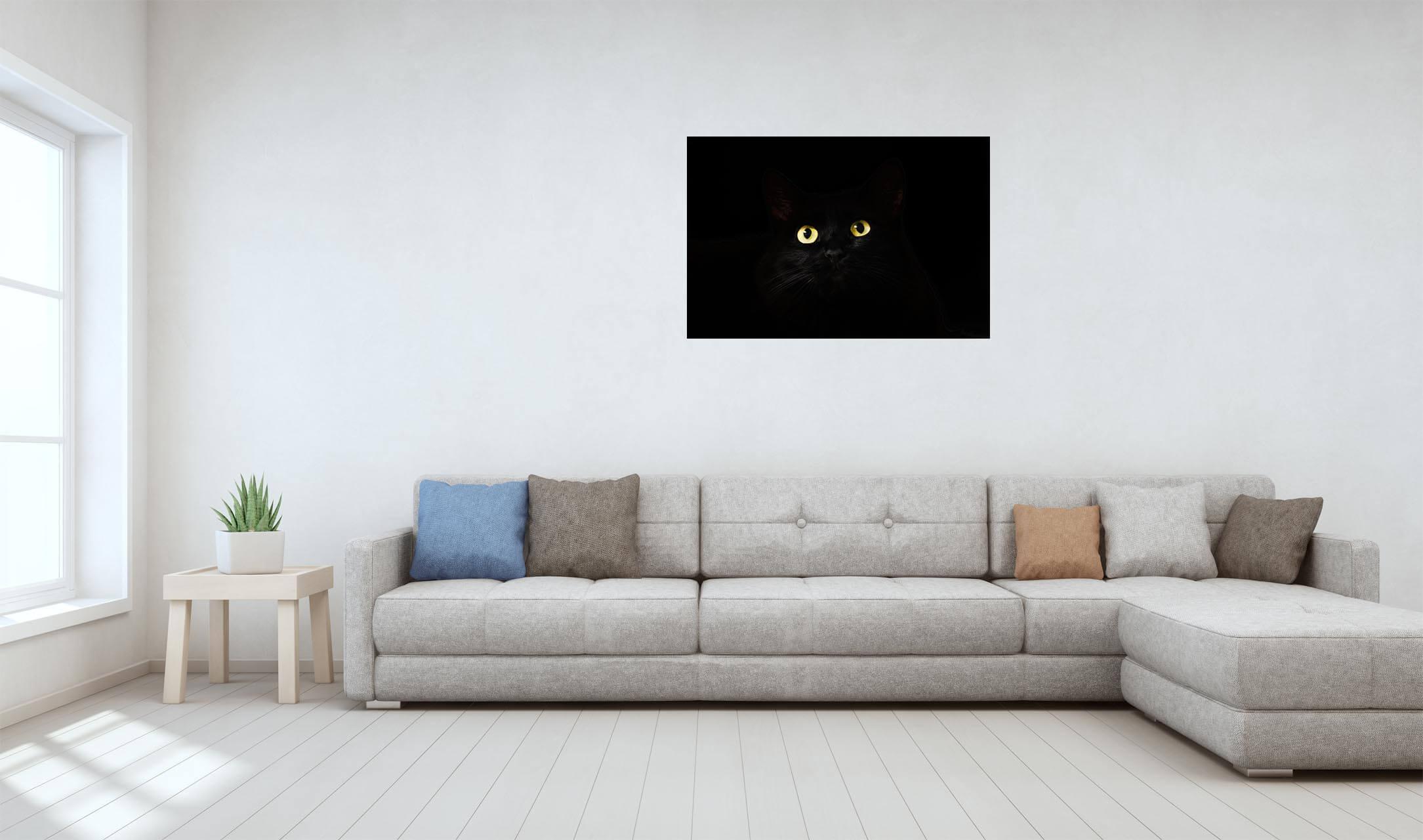 Schwarzer Kater