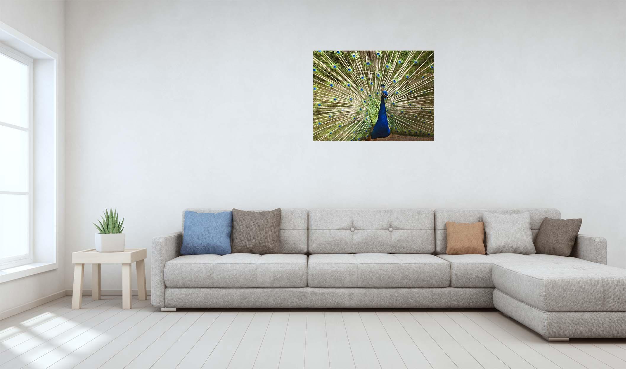 Pfau