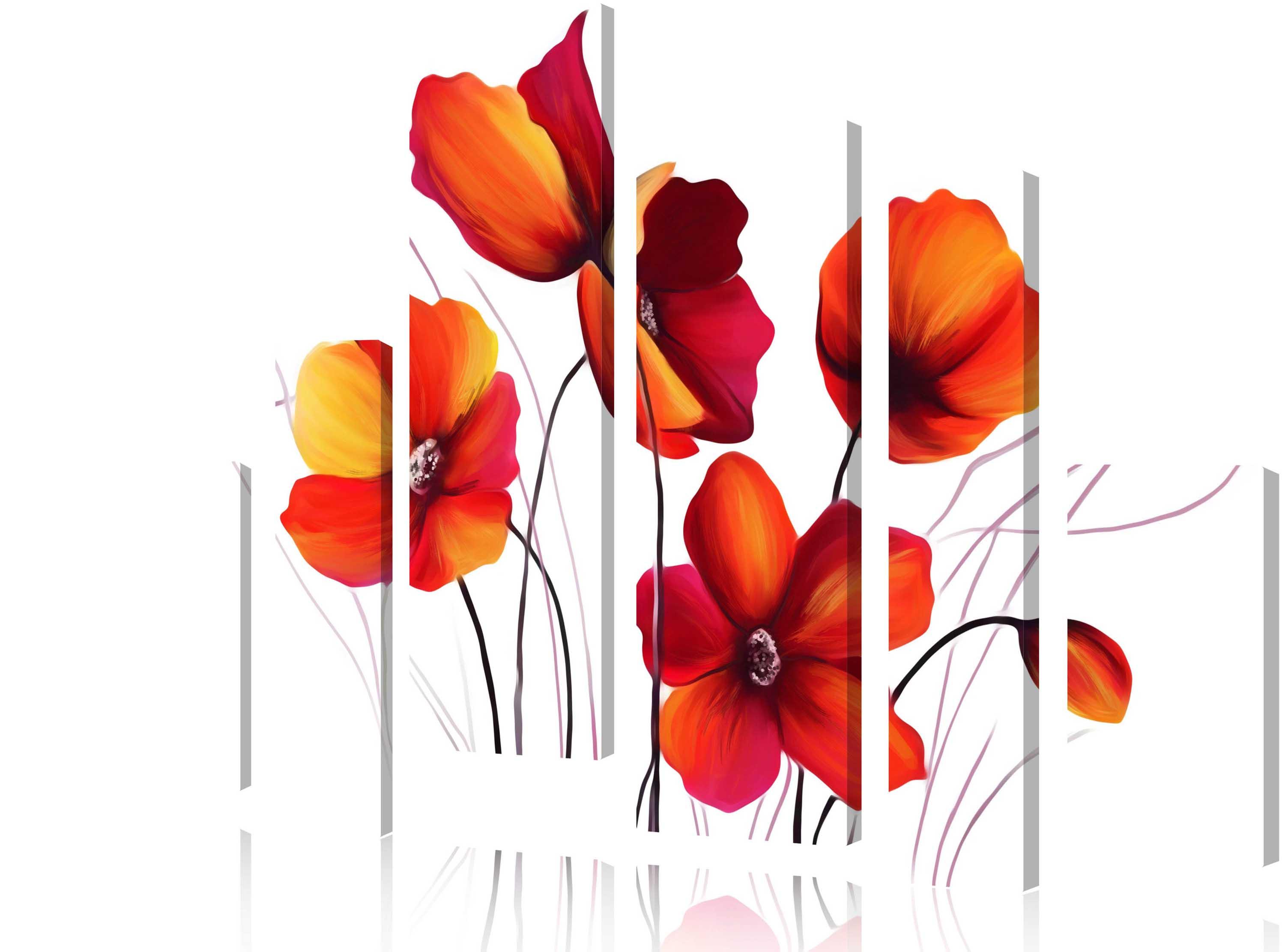Modulares Bild - Mohnblumen auf weißem Hintergrund