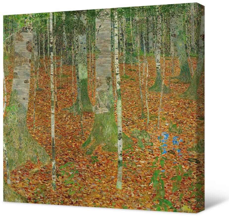 Klimt - Birkenhain