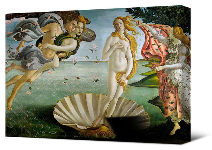 Reproduktionen - Die Geburt der Venus