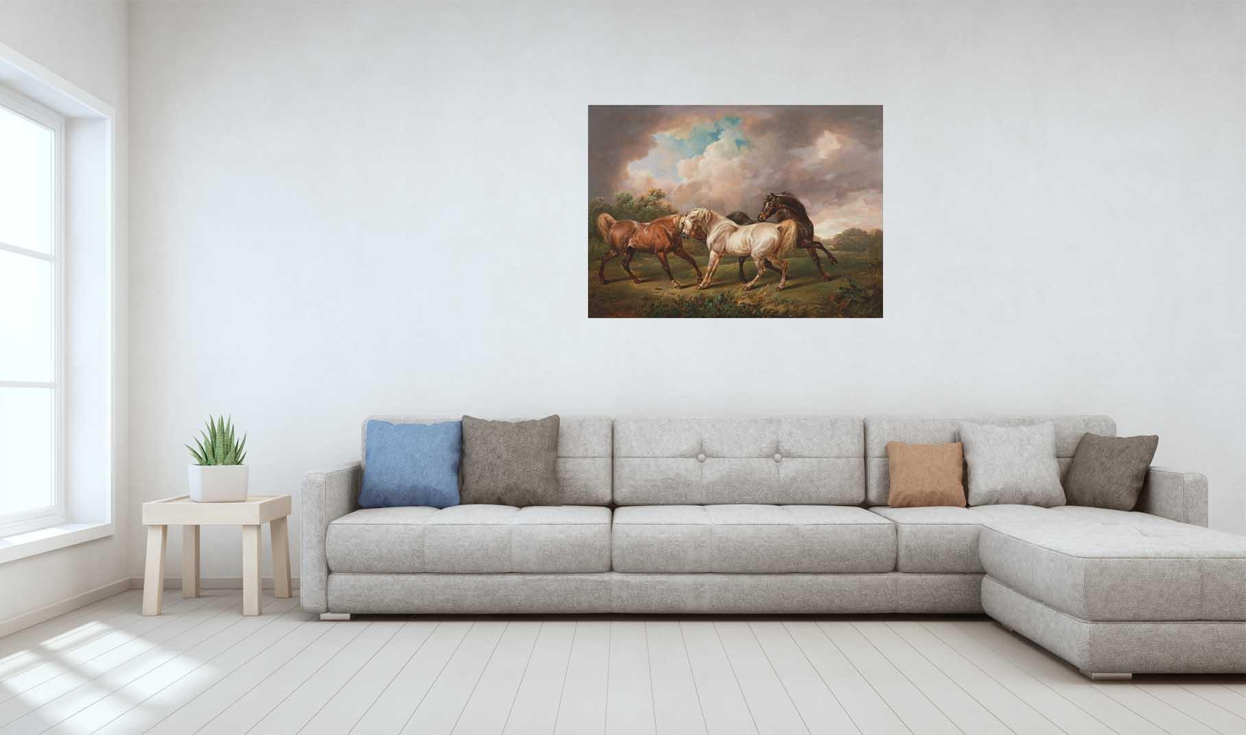 Horses