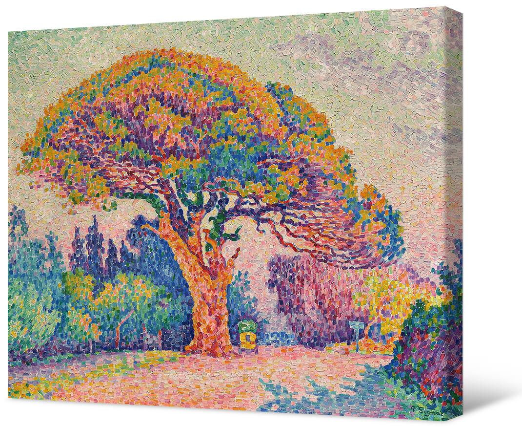 Paul Signac - Pine le Saint-Tropez