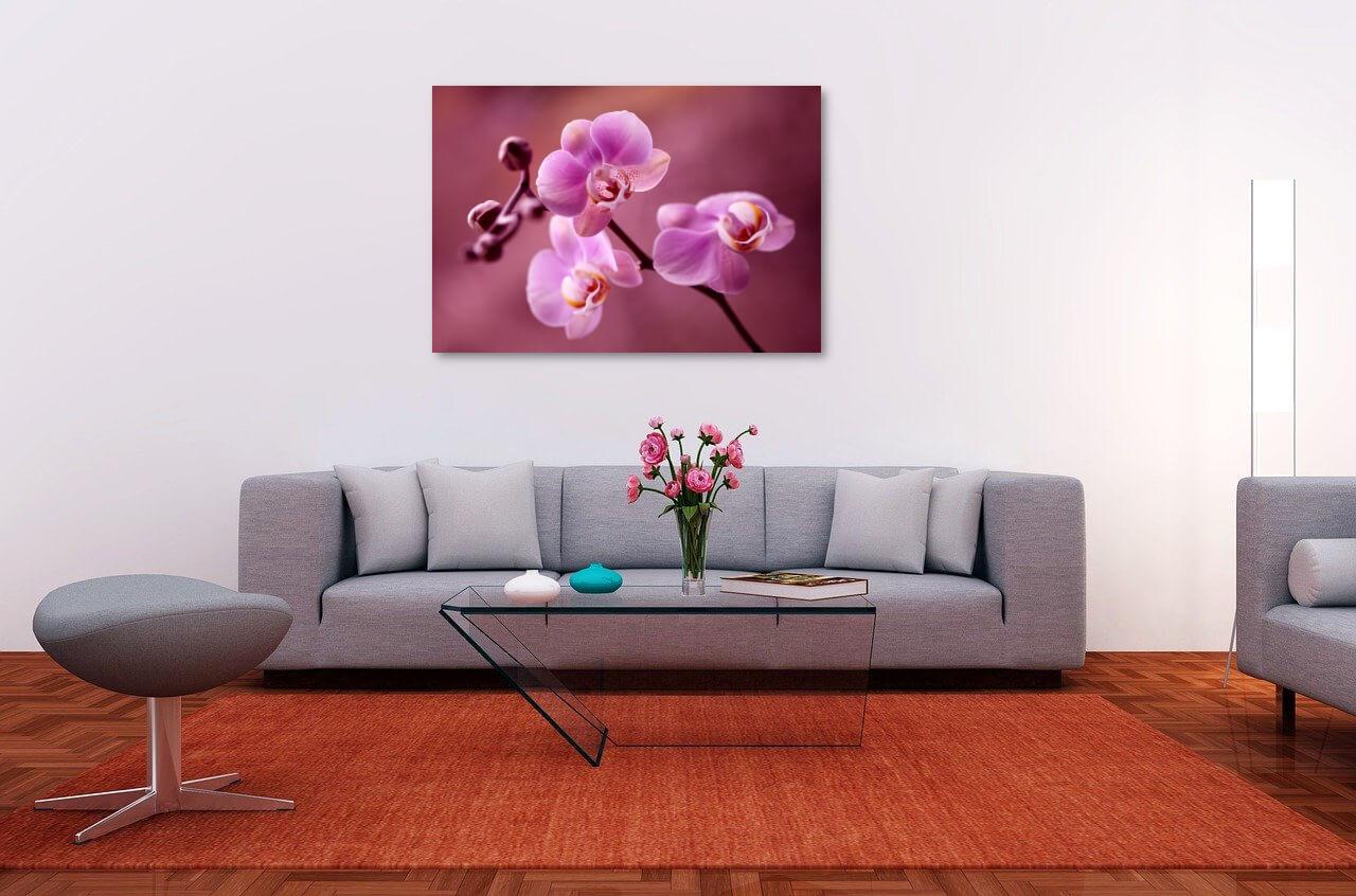 Orchid-ti si woyɔna be orchid