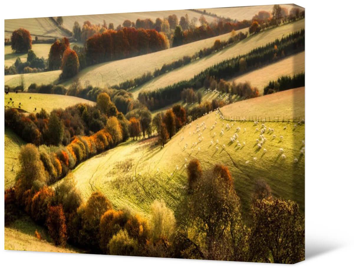 Photo painting on canvas - Pastures