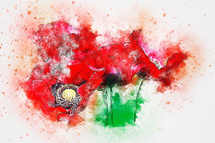 Watercolor poppies