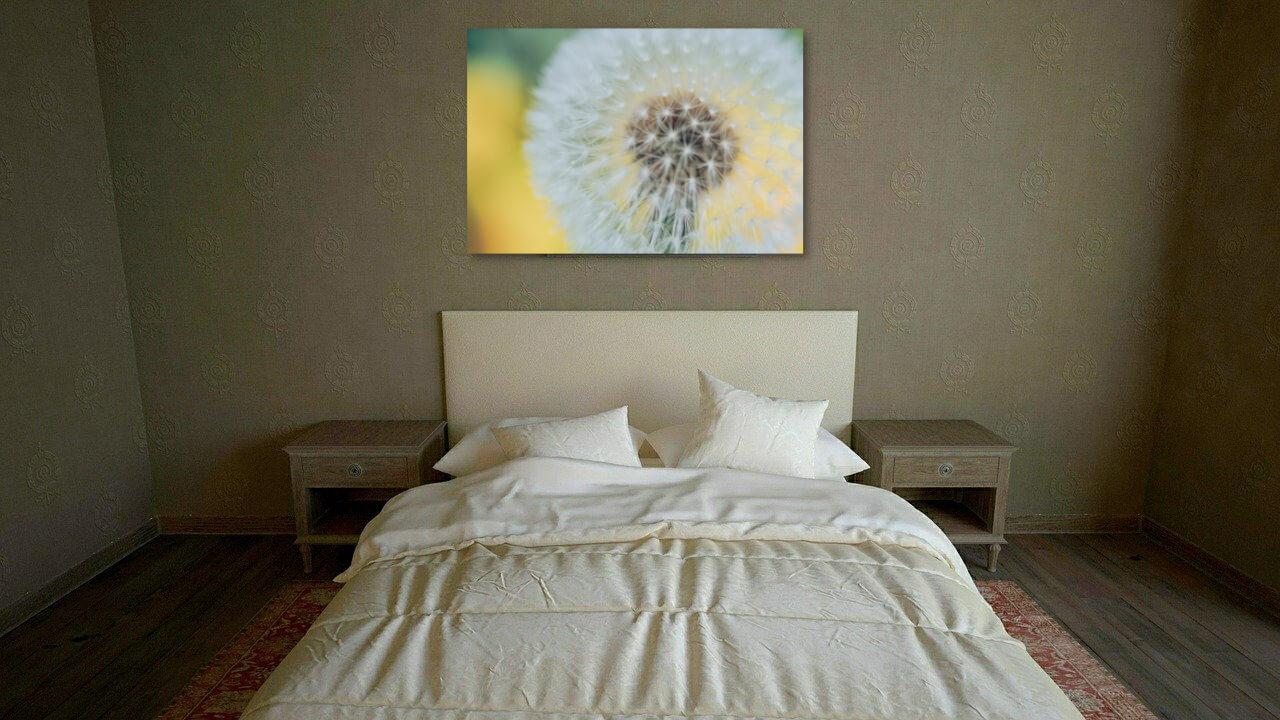 Mawu dandelion