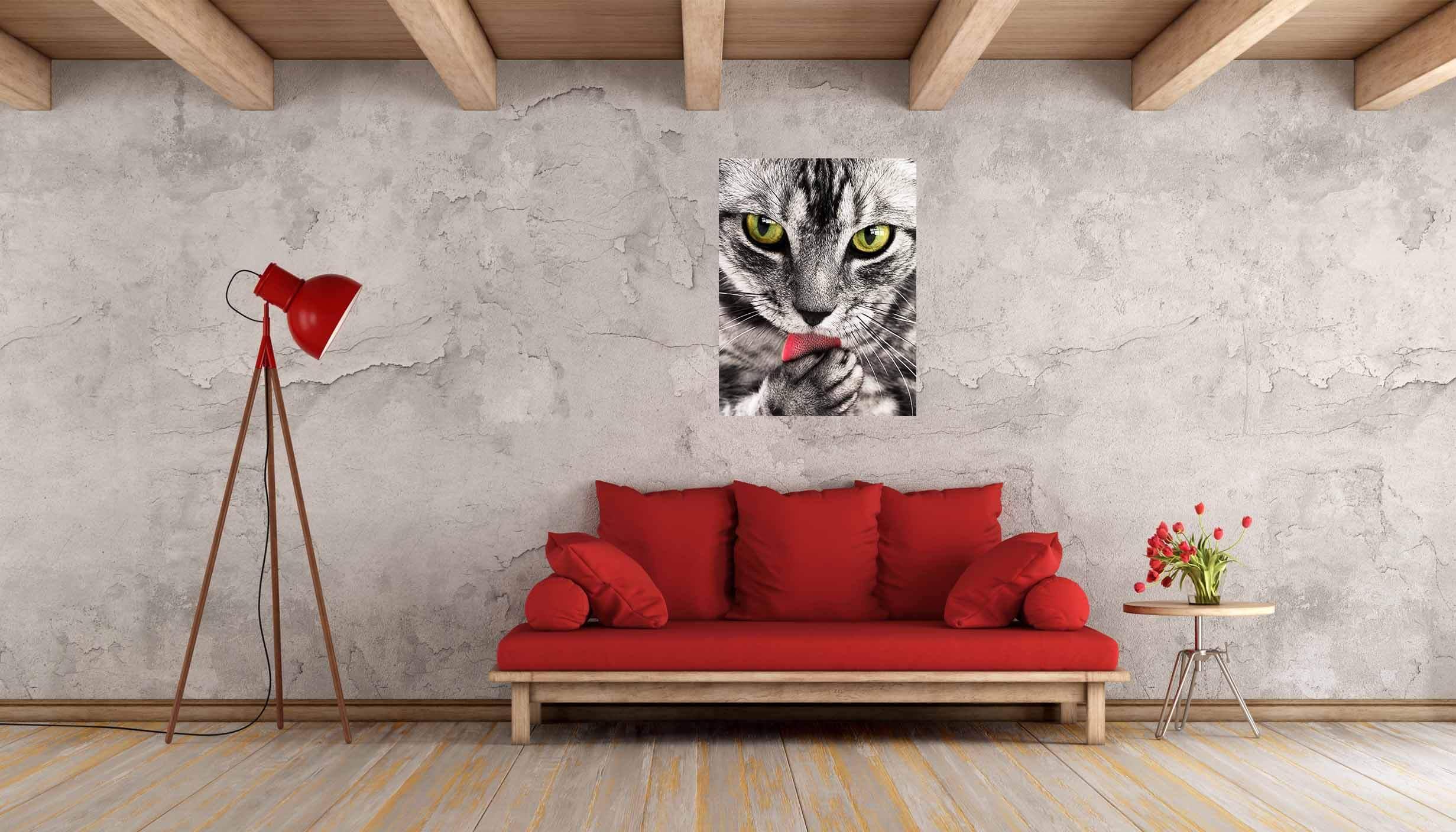 Graue Katze