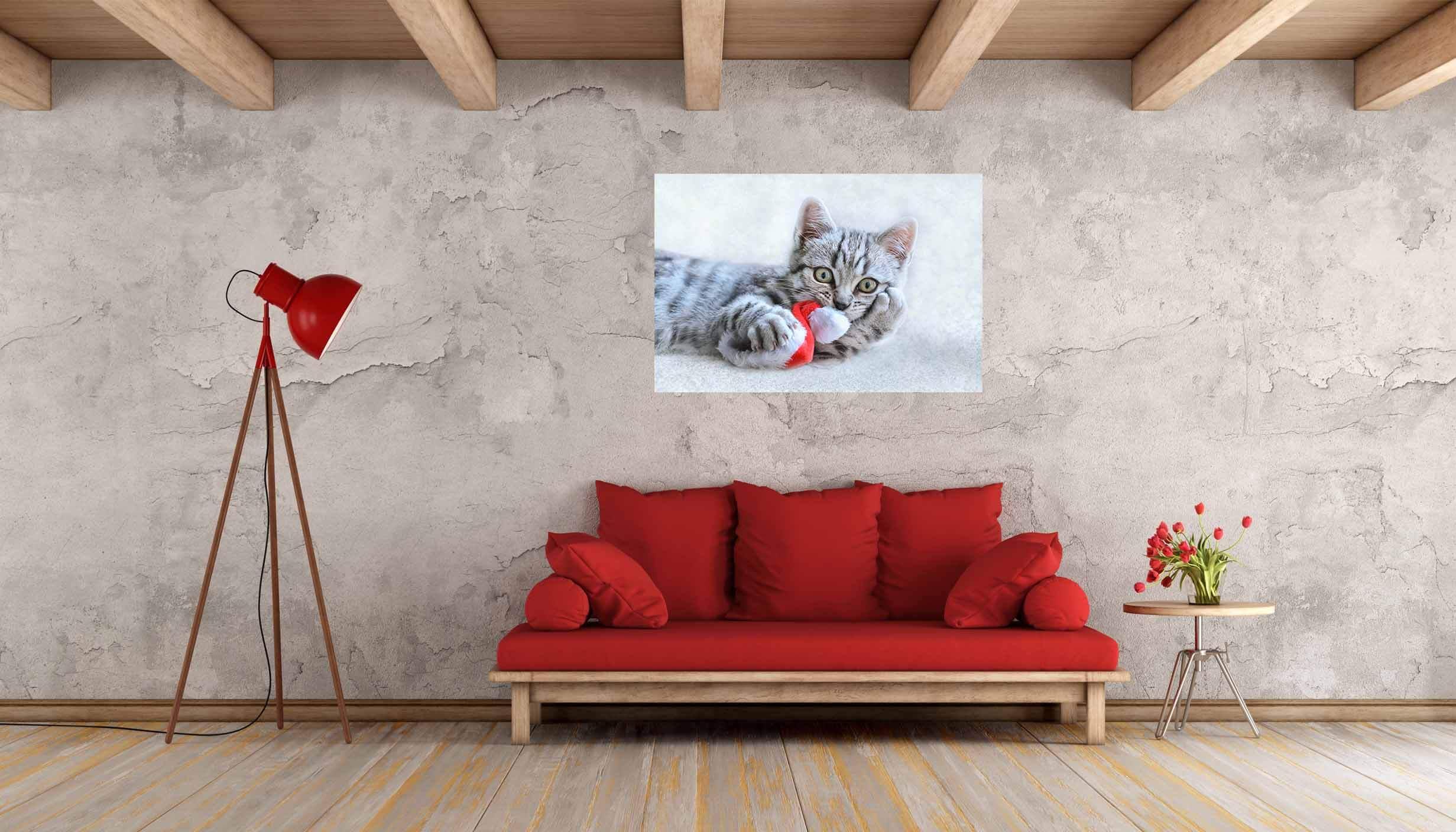 Kitty ƒe ŋkɔ