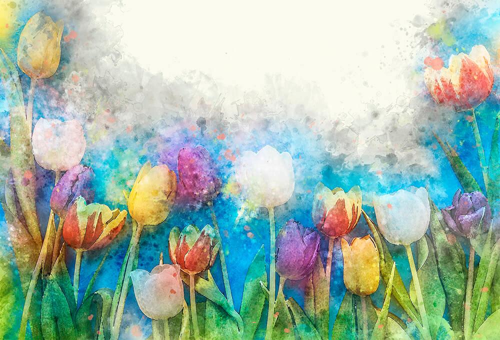 Tsi ƒe amadede ƒe tulips