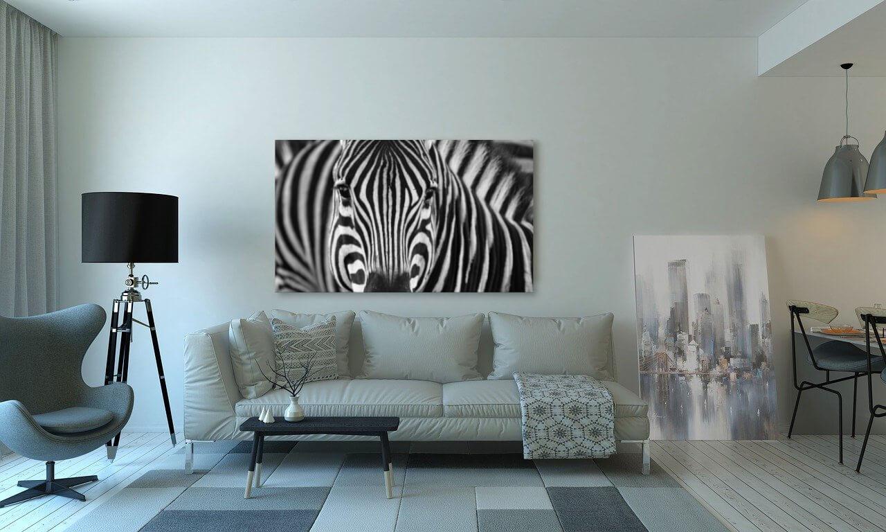 Zebras