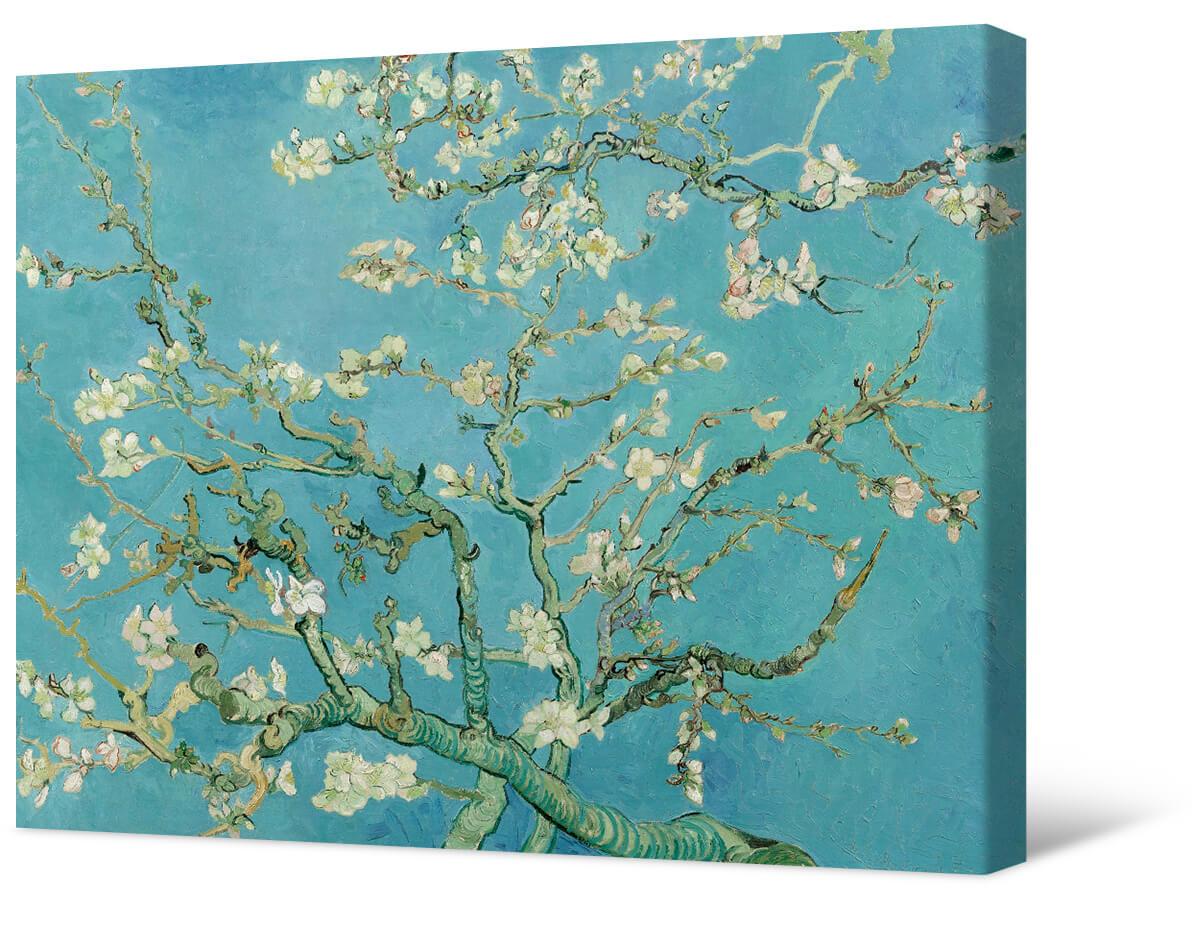 Van Gogh - Almond ƒe alɔ siwo le seƒoƒo ƒom