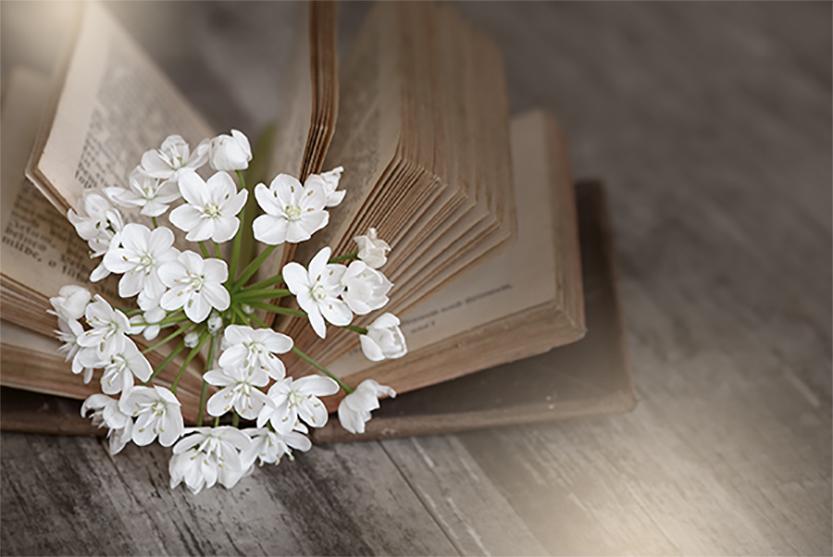 Buch und blühender Zweig